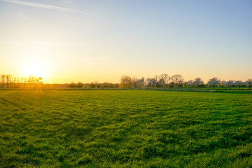 Grünes Feld Sonnenuntergang