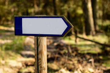 Empty plate on the background of a green forest wall. A signpost mounted on a wooden stake in the forest. Season of the spring.