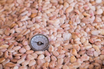 Cocoa beans and cocoa pod on a wooden surface.