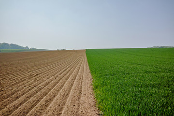Spring fields panorama landscape with fresh green grass and plowed field