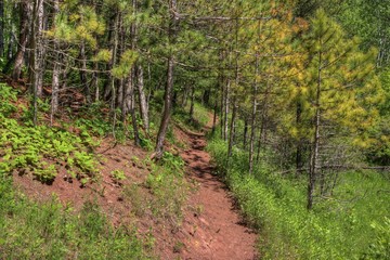 Lester Park is a popular City Park in Duluth, Minnesota during all Seasons