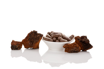 Inonotus obliquus. Chaga mushroom.