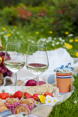 Two glasses of wine and strawberries. Picnic in a clearing with flowers. Spring in the Netherlands. Place for text. holidays