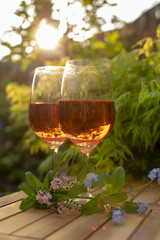 Two cold rose wine glasses served on outdoor terrace in garden with flowers in sunny day