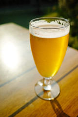 One cold light unfiltered beer in glass served on sunny outdoor terrace in garden