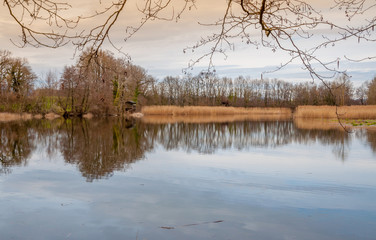 Marais et zones humides