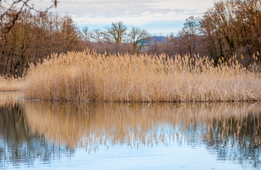 Marais et zones humides