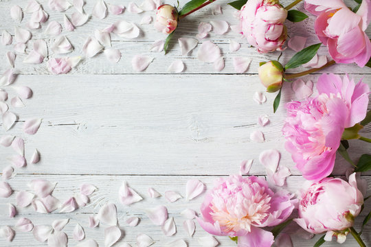 Pink peonies on a wooden background