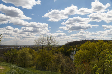 Beautiful trees spring forest sunny day blue sky