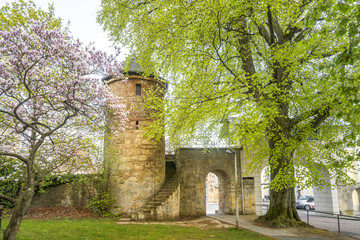 Fototapeta na wymiar Stadtmauer, Turm, Korbach, Hessen 