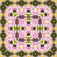 Background bohemian, decorative ornament element of lotus or lily frame in pink color