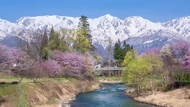 春の大出公園