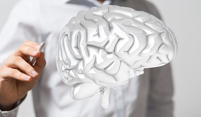 brain