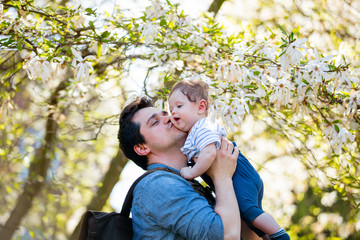 Fototapeta premium Young father with child have a leisure in springtime flowering garden in sunny day.