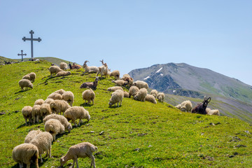 Shepherd in Tusheti, Georgia