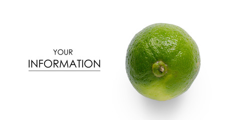 Lime fruit citrus pattern