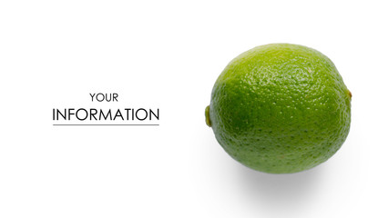 Lime fruit citrus pattern