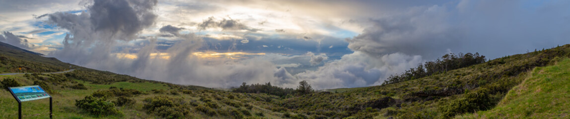 Fototapeta premium Haleakala Subapline Shrubland Panorama 