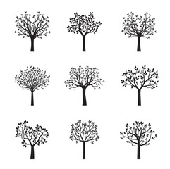 Obraz premium Set of black vector trees. Vector Illustration.