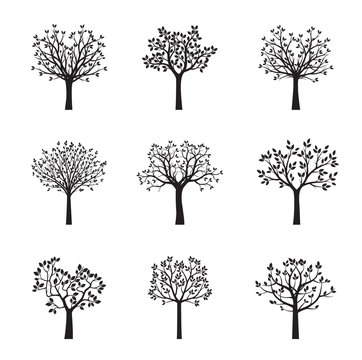 Set of black vector trees. Vector Illustration.