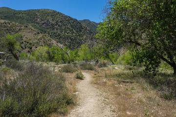 Gravel walking path winds into the scrub brush of a wooded valley in southern California hills.