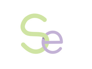 Obraz premium SE Initial Logo for your startup venture