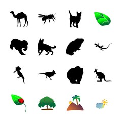 icon Animal with clip, transportation, nature, black and tattoo