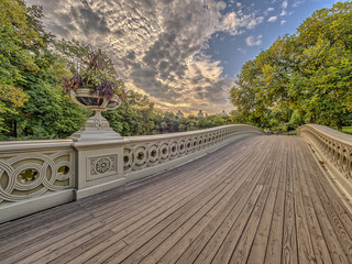 Bow bridge Central Park