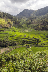Fototapeta premium Bal an island and province of Indonesia.