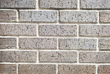 Brick Wall