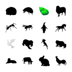 icon Animal with speeh, arabian horse, woodpecker, colony and mustang