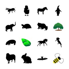 icon Animal with decoration, sketch, horse, start and danger