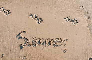 Inscription on wet sand - Summer. Concept photo of summer vacation. A trip to the sea. Footprint of dog paws on the sand.