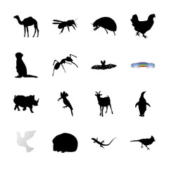 icon Animal with bird, rihino, animal, chicken and cute