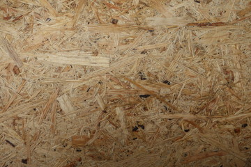 Plywood texture and background