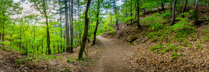 Wander-Lust - Germany