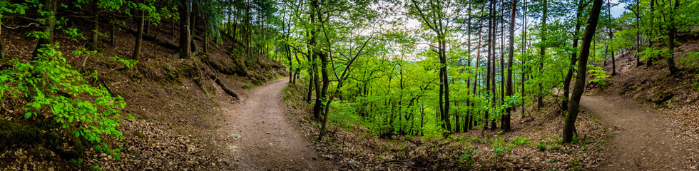 Wander-Lust - Germany © CPN