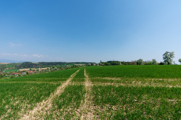 Fototapeta na wymiar Hügellandschaft