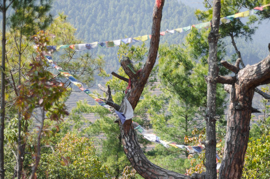 Colorful Buddhist Prayer flags waving on the wind over a tree in the woods