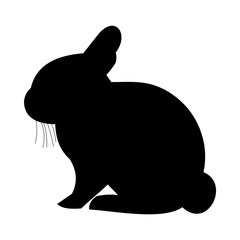 icon Animal with pose, life, sweet, rabbit and bunny