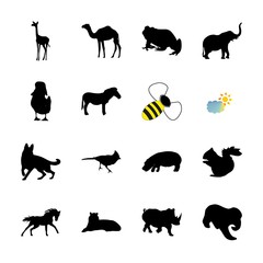 icon Animal with tiger, savanna, asian tiger, mustang and cartoon