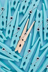 Clothes Line Pegs