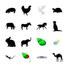 icon Animal with decoration, riding, animals, chicken and farming