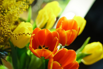 Naklejka premium Bouquet of yellow and red tulips, and yellow mimosa. Floral background. Spring mood.