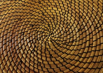 Another Circular Weaved Place mat