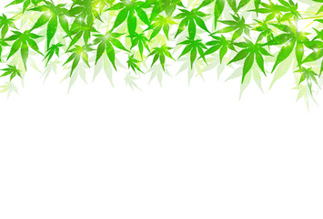 もみじ　夏　風景　背景