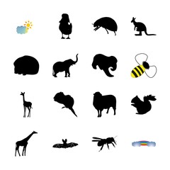 icon Animal with hairy, farm, toy, simple and seo