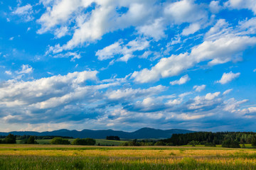 A beautiful green field or pasture on a warm summer day