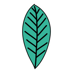 leaf single decorative icon vector illustration design