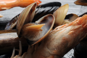 Mariscos Frutti di mare シーフード Seafood مأكولات بحرية Meeresfrüchte Frutos do mar морепродукты Owoce morza Fruits de mer מאכלי ים